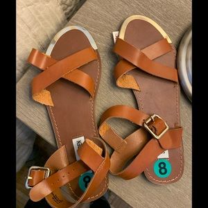 Brand NWT STEVE MADDEN Brown Grecian Flat Sandal SZ 8